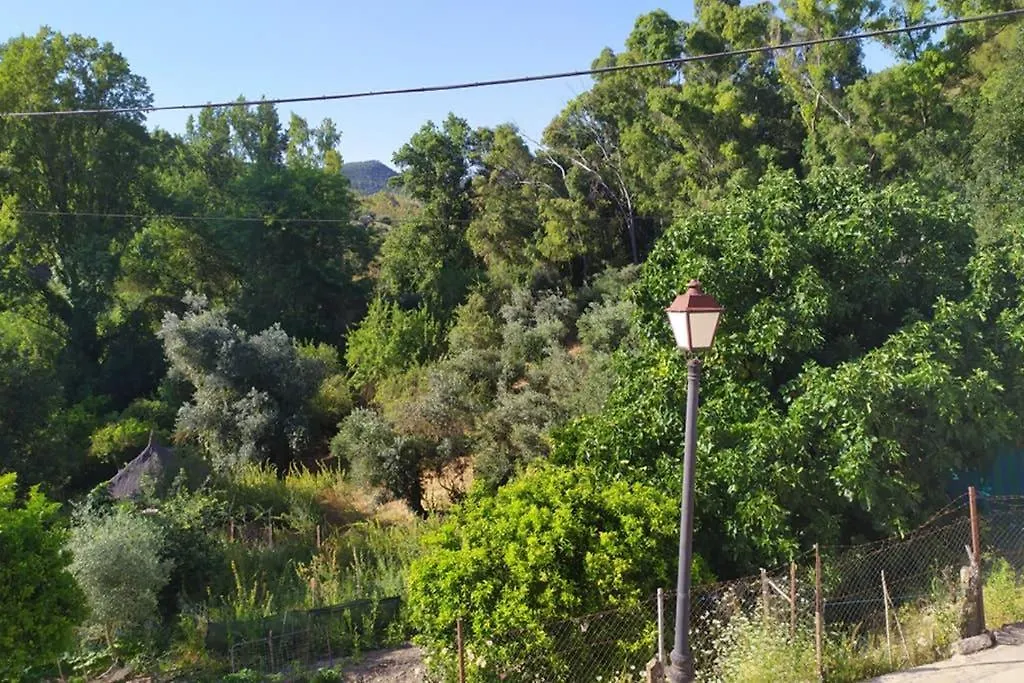 Apartamento Vivienda Majaceite El Bosque