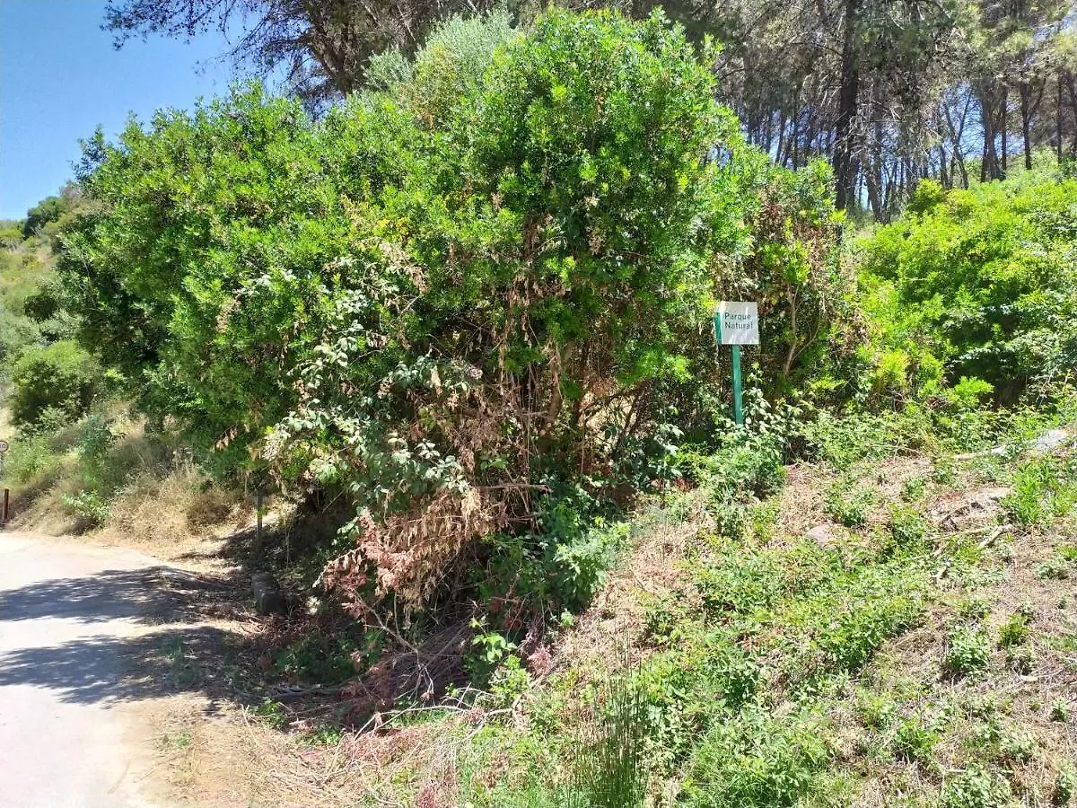 Apartamento Vivienda Majaceite El Bosque